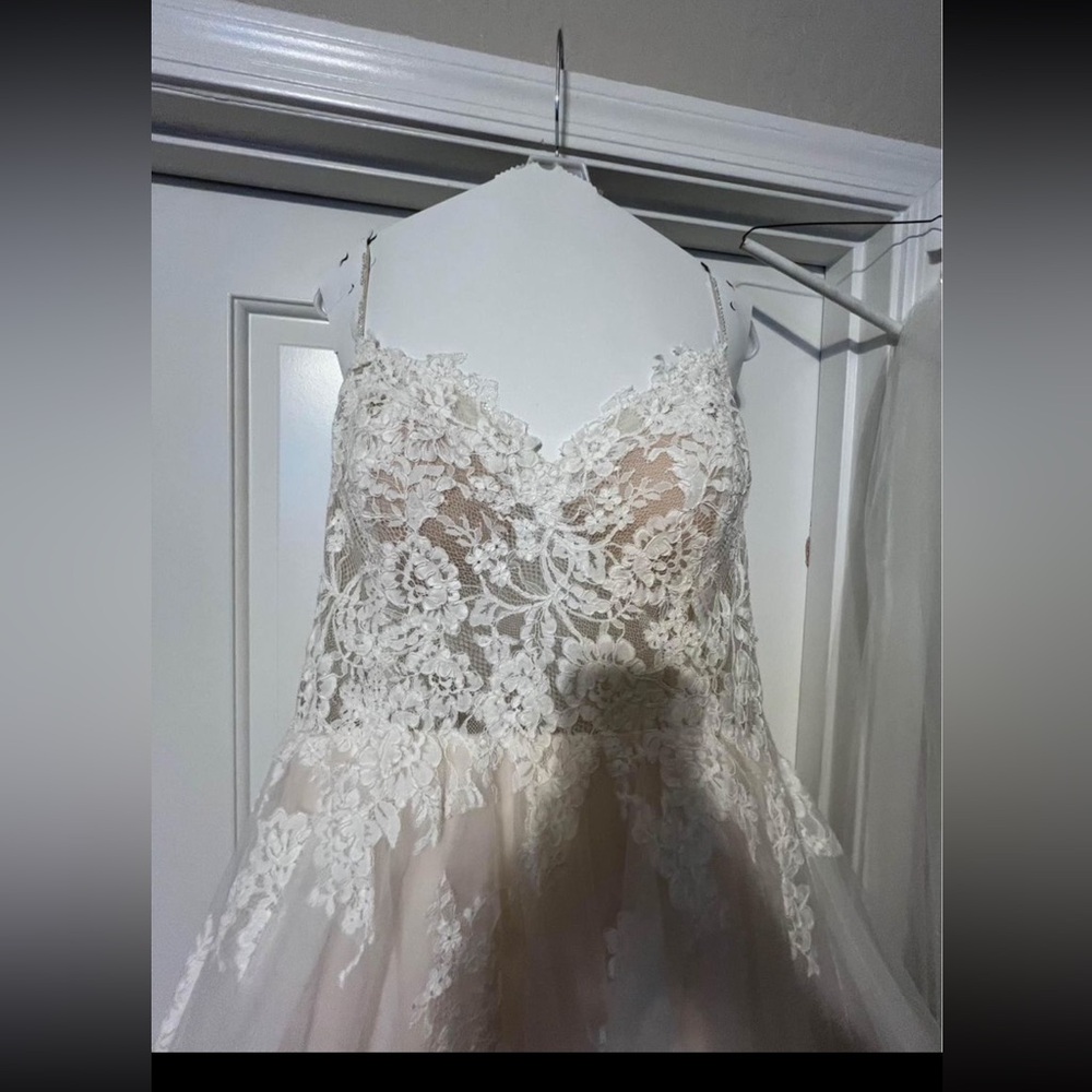 Beautiful wedding dress and veil